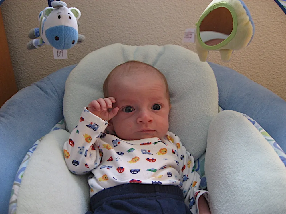 Wide-eyed in a bouncer seat, wearing a car-print outfit, with a plush zebra toy hanging overhead.