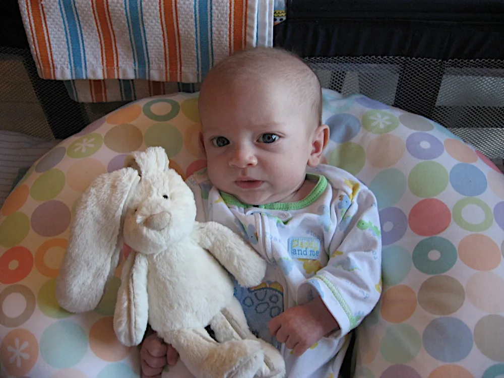 Sitting on the polka-dot pillow next to a floppy-eared stuffed bunny, looking at the camera.